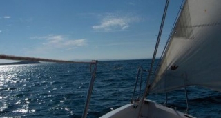  Paseo en barco en Finisterre 